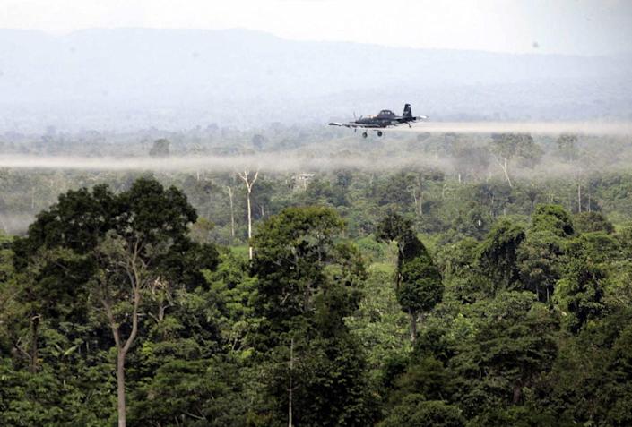 La Corte Constitucional de Colombia da un nuevo frenazo a aspersión aérea con glifosato