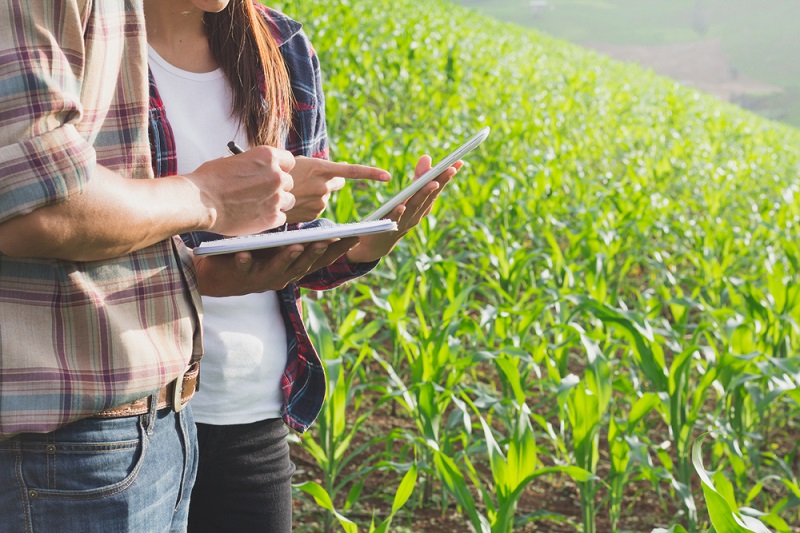 Estudiantes universitarios de España podrán cursar pasantías profesionales en desarrollo agrícola en las Américas tras convenio entre el IICA y la Universidad Politécnica de Valencia