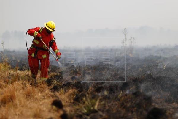 Los incendios en el noreste argentino desbordan recursos y preocupan las áreas afectadas
