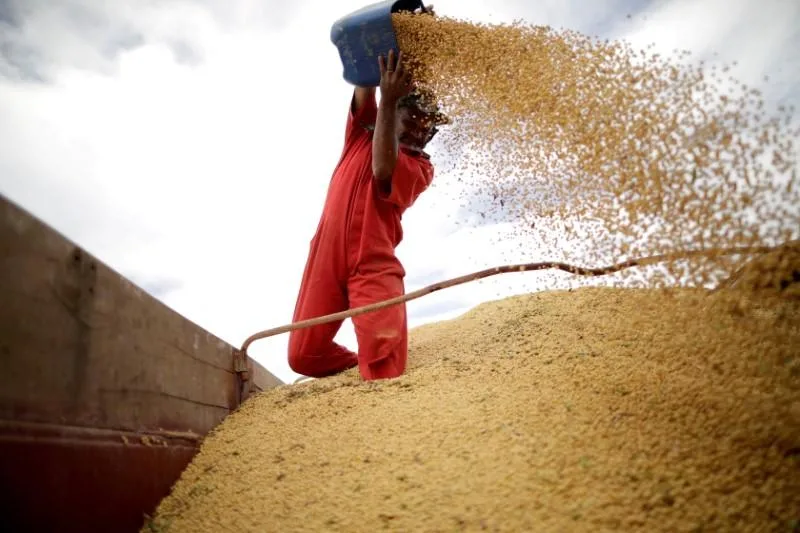 El trigo, el maíz y la soja suben en EEUU ante la preocupación por Ucrania y Rusia