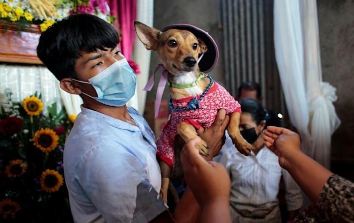 Cientos de perros se disfrazan para las fiestas de San Lázaro en Nicaragua
