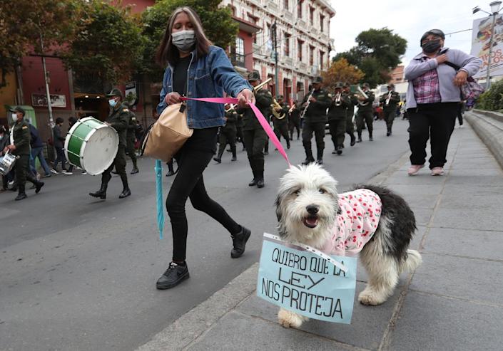 Marcha de perros y humanos alza la voz contra el maltrato animal en Bolivia