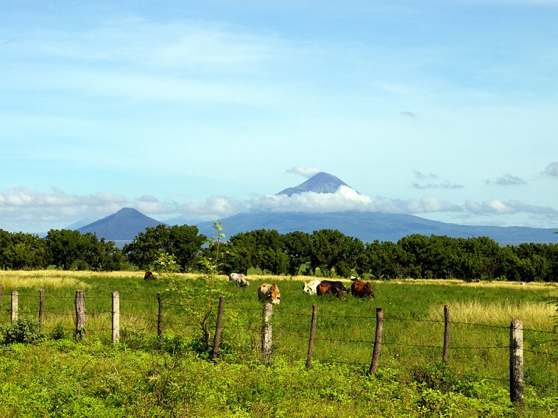 BCIE presenta al sector agropecuario de Nicaragua las oportunidades para acceder a sus programas financieros