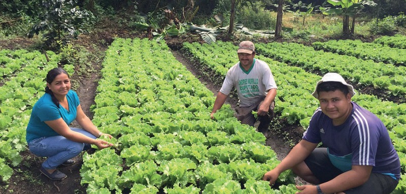 Informe de IICA y FIDA destaca aportes significativos y desafíos pendientes de la agricultura familiar de América Latina y el Caribe a las acciones contra el cambio climático