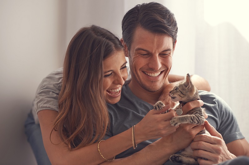 ¿Salud mental en mascotas? Alimentación especializada innova para brindar nutrientes necesarios