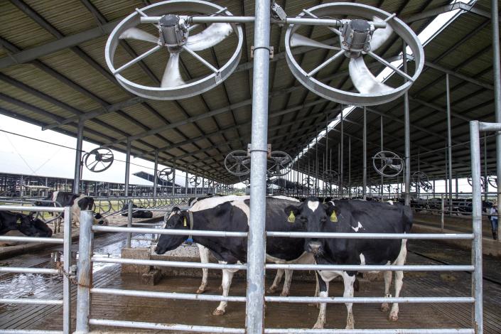 La falta de mano de obra es el mayor desafío para los agricultores de EEUU