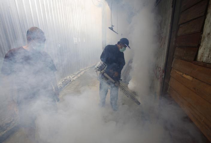 La mayor región boliviana declara «alerta roja» por una epidemia de dengue