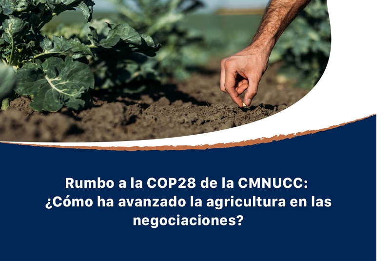 En ruta a la COP28, países de las Américas aumentan implementación de medidas de mitigación y adaptación de la agricultura al cambio climático, consideran especialistas convocados por el IICA
