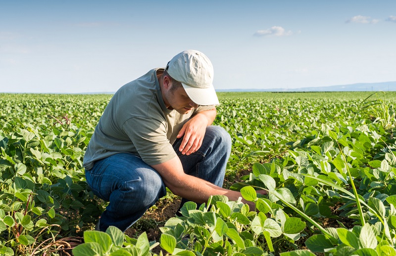 Ministros de agricultura se reúnen en Chile para potenciar el papel del sector en la mitigación del cambio climático, con participación del IICA