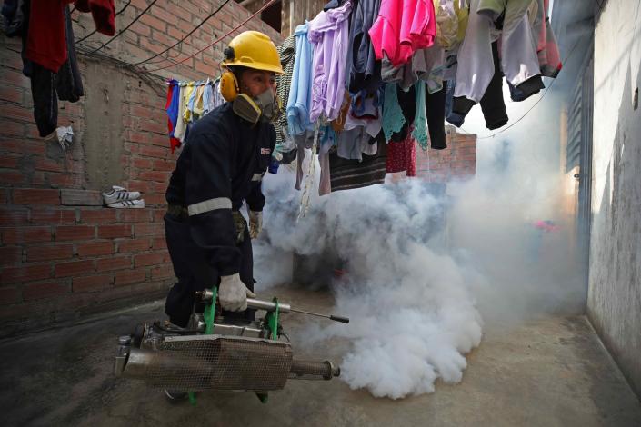 Las claves del peor brote de dengue de este siglo en Perú