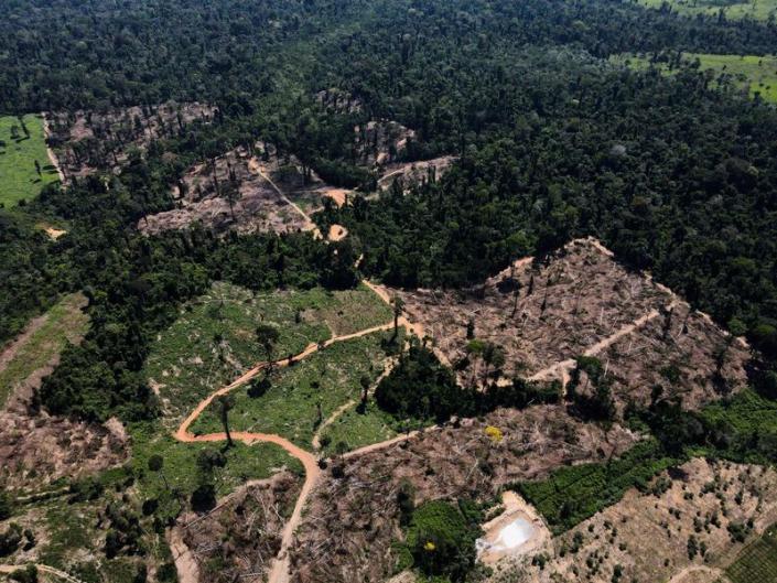 Deforestación en la Amazonia brasileña cae casi un 10% en mayo