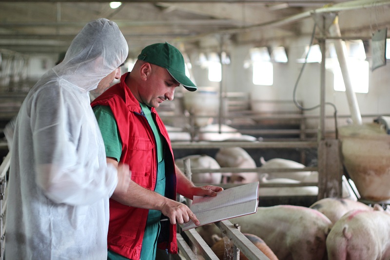 La inocuidad en la producción agroalimentaria es fundamental para consumir alimentos más saludables y generar mayores beneficios económicos a los productores, aseguran expertos en foro con participación del IICA