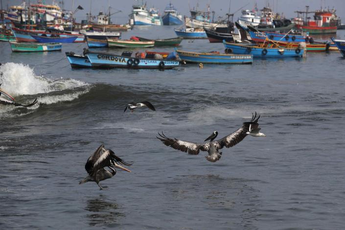 La Fiscalía peruana constata presencia de hidrocarburo en playas del norte de Lima