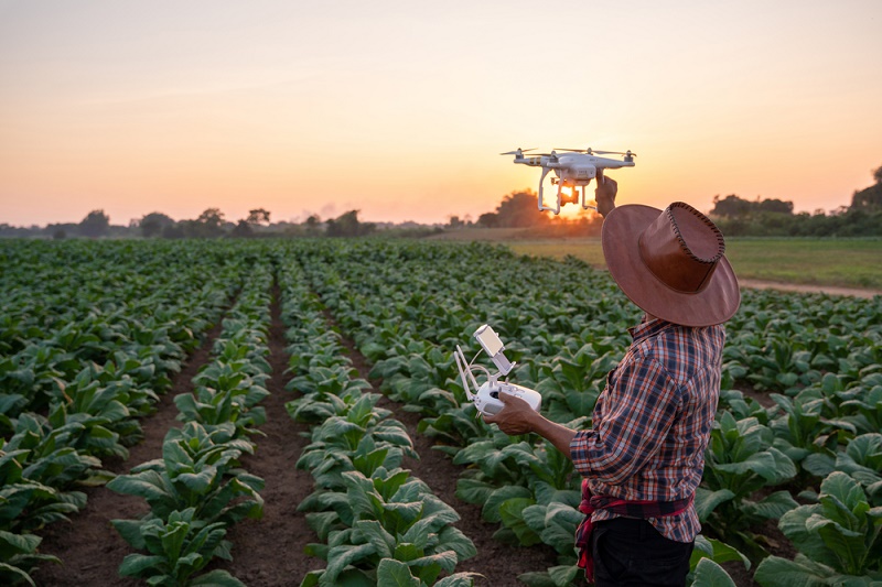 La ciencia y la innovación serán cruciales para el futuro de los sistemas agroalimentarios de las Américas, afirman expertos de alto nivel en un nuevo episodio de IICA en Acción