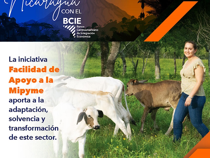Más de 3,000 mipymes nicaragüenses han fortalecido sus negocios con el respaldo del BCIE