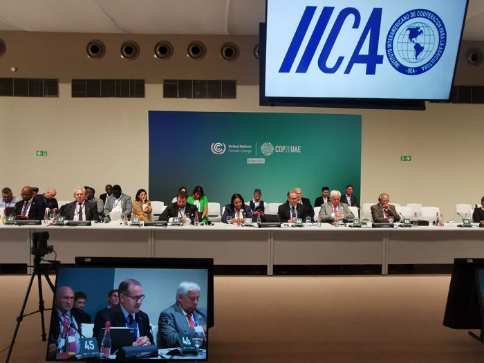 Ministros y altos funcionarios de Agricultura de las Américas se unen en COP 28 y, junto al IICA, muestran todo el compromiso del sector con la agenda climática global