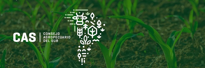Ministros y autoridades del Consejo Agropecuario del Sur (CAS) dieron fuerte respaldo a labor del IICA y llamaron al resto de los países del continente a fortalecer vínculos para enfrentar desafíos globales