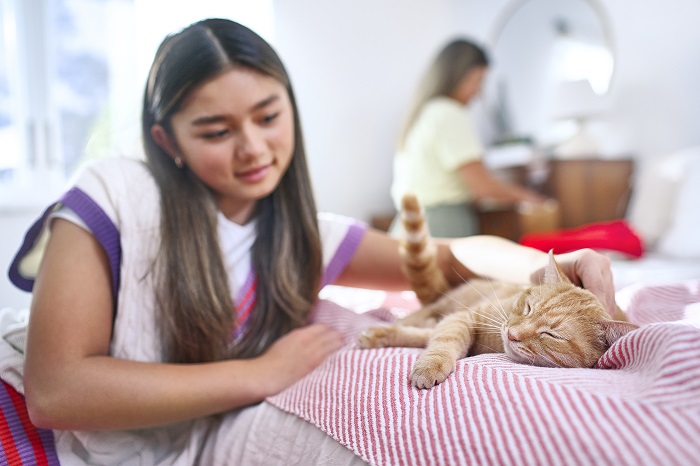 Transforma la vida de tu gato