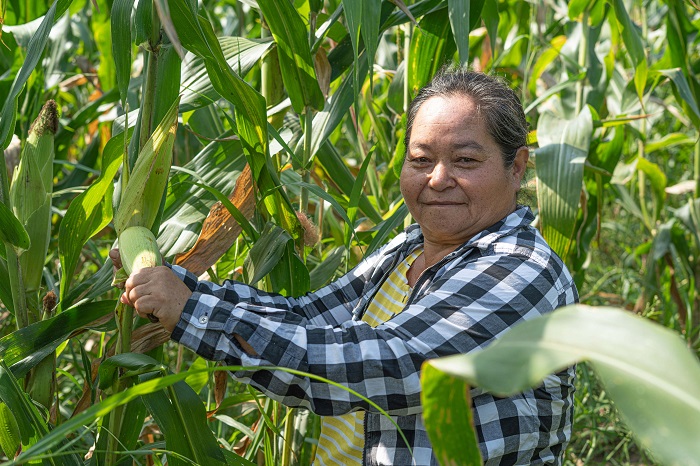 Cargill refuerza su compromiso con la seguridad alimentaria de Centroamérica y el mundo