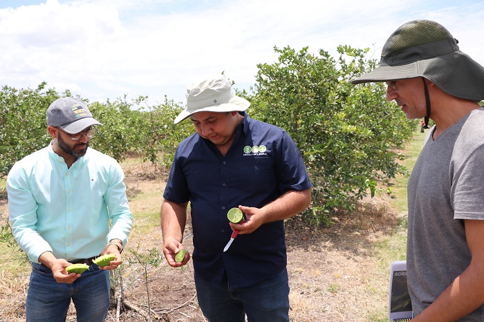 GCPF y Banpro impulsan agricultura sostenible