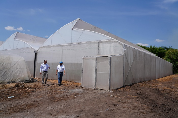 Walmart invierte en el futuro agrícola de Nicaragua con la donación de dos invernaderos a productores locales
