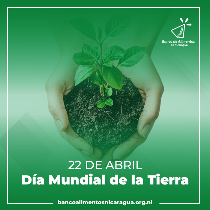 Banco de Alimentos de Nicaragua, un aliado clave para la Tierra a través de la reducción del desperdicio alimentario