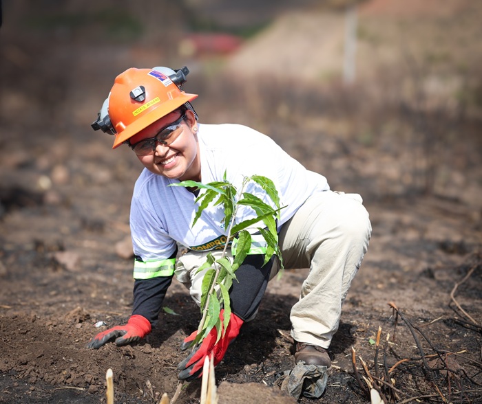 Condor Gold presenta su programa de reforestación en celebración del Día Mundial de la Tierra